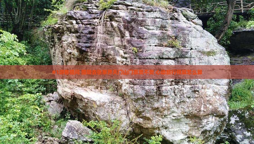 #1游客提问 醴陵去张家界天门山门票贵不贵 心动旅行预算怎么算