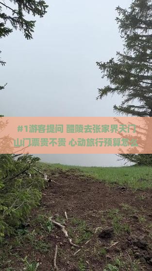 #1游客提问 醴陵去张家界天门山门票贵不贵 心动旅行预算怎么算
