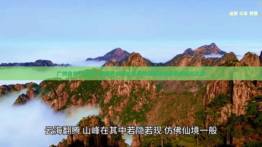 广州自由行攻略：张家界大峡谷旅游带你探秘绝美景点峡谷之旅