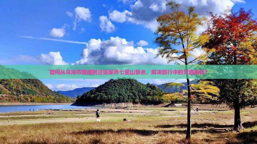 如何从乌海市便捷到达张家界七星山景点，解决旅行中的交通痛点？