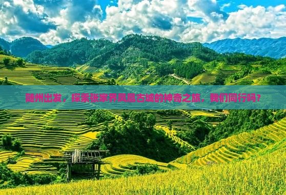 随州出发，探索张家界凤凰古城的神奇之旅，我们同行吗？