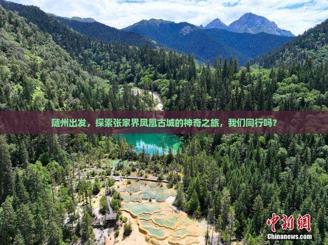 随州出发，探索张家界凤凰古城的神奇之旅，我们同行吗？