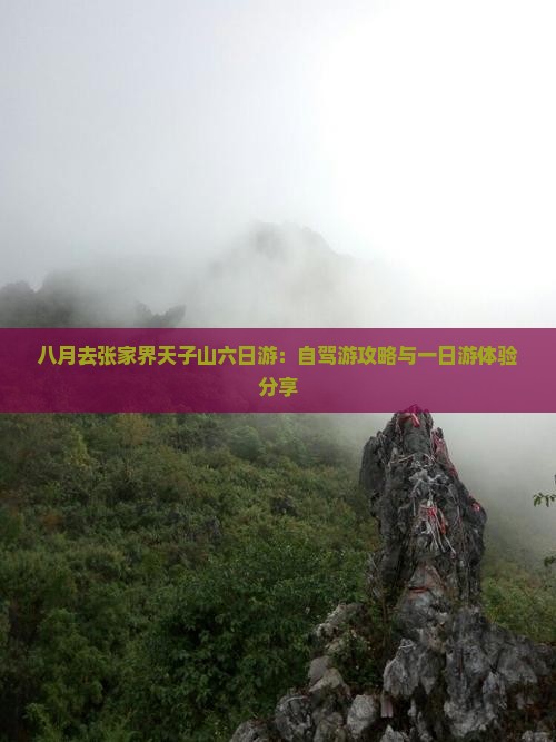 八月去张家界天子山六日游：自驾游攻略与一日游体验分享