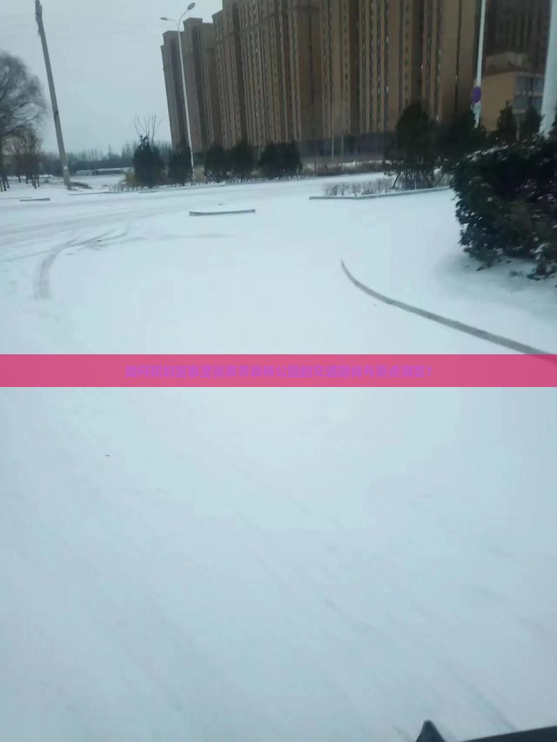 如何规划宜春至张家界森林公园的交通路线与景点游览？