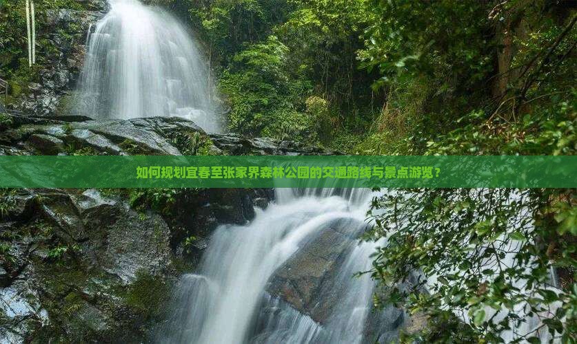 如何规划宜春至张家界森林公园的交通路线与景点游览？
