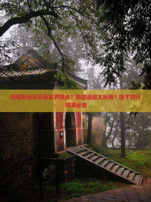 塔城到张家界袁家界景点？路途遥远太折腾？搭子旅行+种草必看