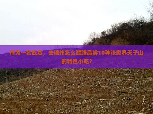 作为一名吃货，去锦州怎么顺路品尝10种张家界天子山的特色小吃？