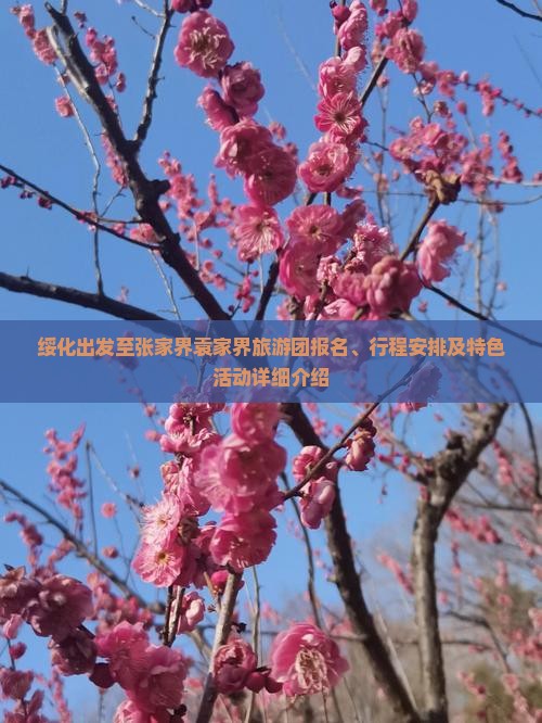 绥化出发至张家界袁家界旅游团报名、行程安排及特色活动详细介绍