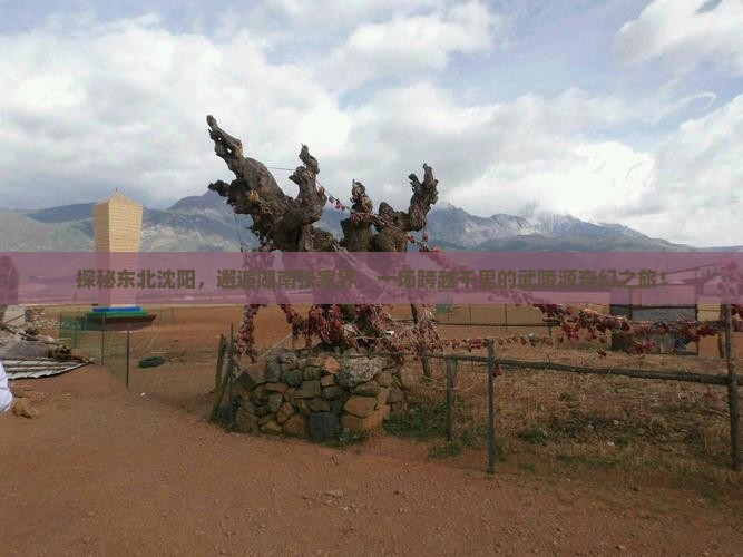 探秘东北沈阳，邂逅湖南张家界，一场跨越千里的武陵源奇幻之旅！