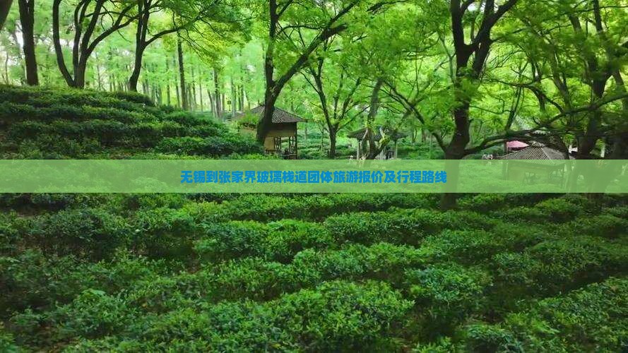 无锡到张家界玻璃栈道团体旅游报价及行程路线
