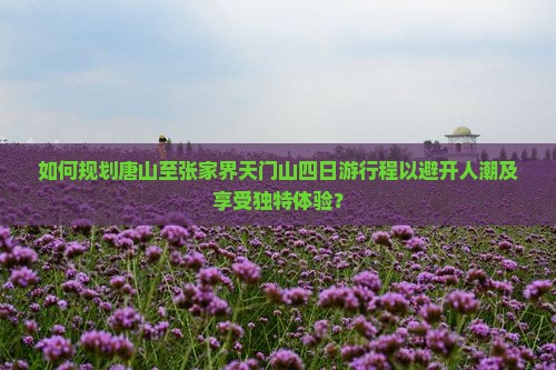 如何规划唐山至张家界天门山四日游行程以避开人潮及享受独特体验？