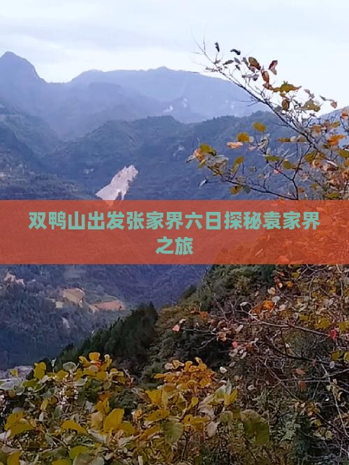 双鸭山出发张家界六日探秘袁家界之旅