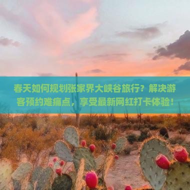 春天如何规划张家界大峡谷旅行？解决游客预约难痛点，享受最新网红打卡体验！
