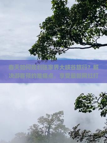 春天如何规划张家界大峡谷旅行？解决游客预约难痛点，享受最新网红打卡体验！