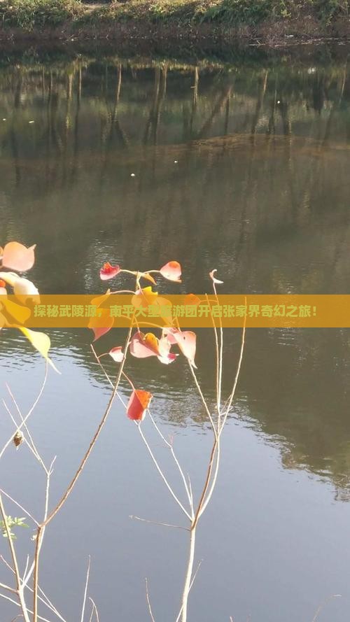 探秘武陵源，南平大型旅游团开启张家界奇幻之旅！