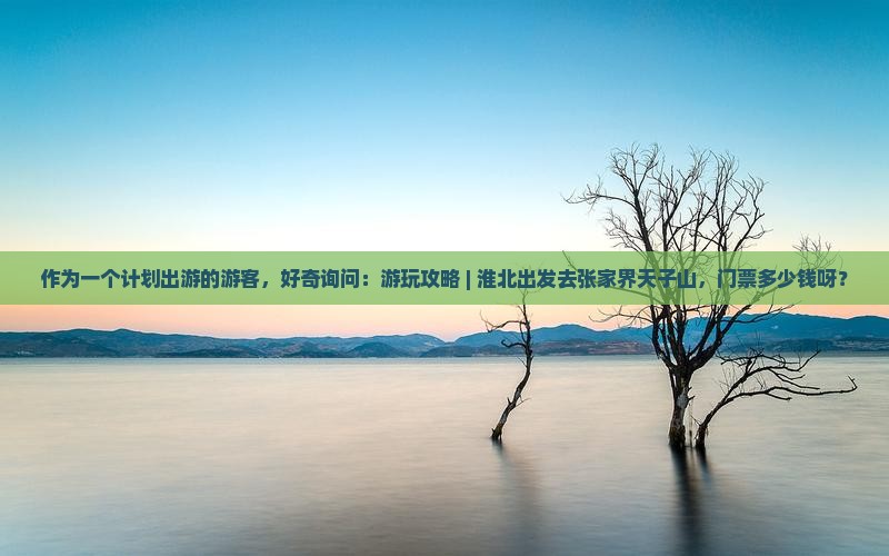 作为一个计划出游的游客，好奇询问：游玩攻略 | 淮北出发去张家界天子山，门票多少钱呀？