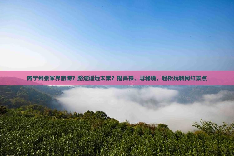咸宁到张家界旅游？路途遥远太累？搭高铁、寻秘境，轻松玩转网红景点