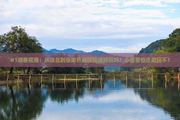#1游客视角：从张北到张家界玻璃栈道好玩吗？心里害怕还能玩不？
