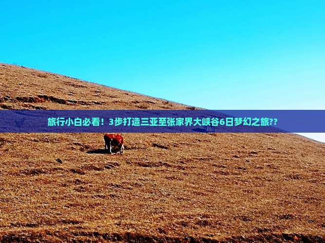 旅行小白必看！3步打造三亚至张家界大峡谷6日梦幻之旅??