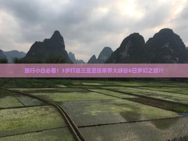 旅行小白必看！3步打造三亚至张家界大峡谷6日梦幻之旅??