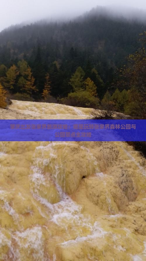 肇庆出发张家界旅游攻略：哪里玩转张家界森林公园与公园景点全攻略