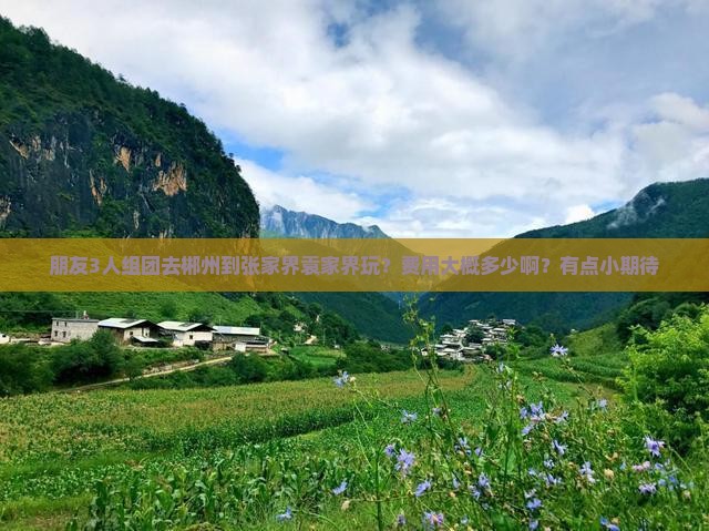 朋友3人组团去郴州到张家界袁家界玩？费用大概多少啊？有点小期待