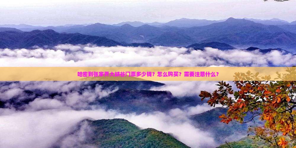 哈密到张家界大峡谷门票多少钱？怎么购买？需要注意什么？