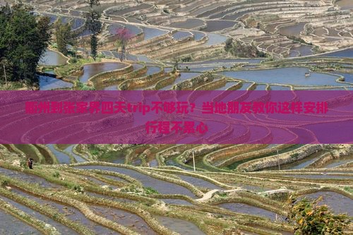 衢州到张家界四天trip不够玩？当地朋友教你这样安排行程不累心