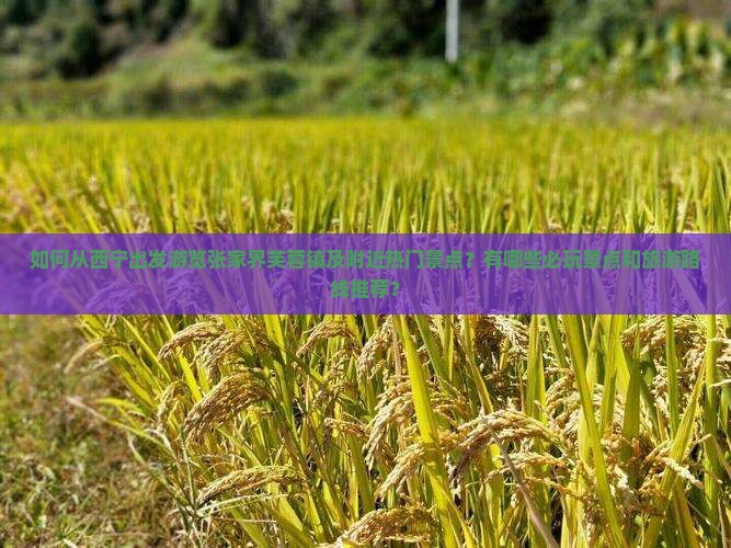 如何从西宁出发游览张家界芙蓉镇及附近热门景点？有哪些必玩景点和旅游路线推荐？