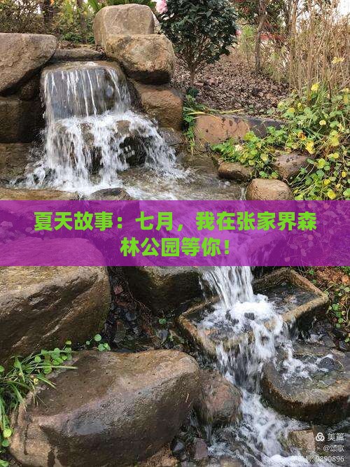 夏天故事：七月，我在张家界森林公园等你！