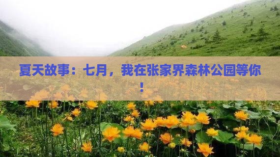 夏天故事：七月，我在张家界森林公园等你！