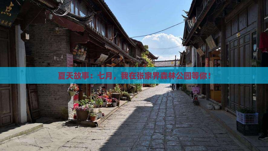 夏天故事：七月，我在张家界森林公园等你！