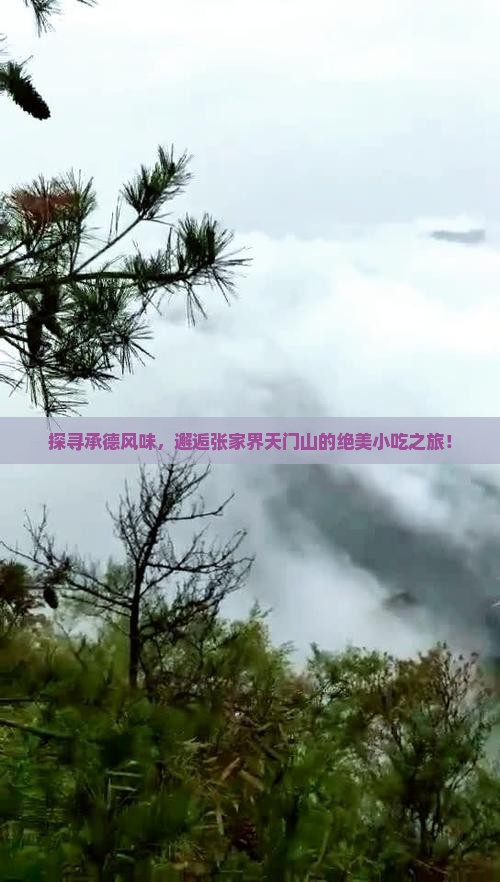 探寻承德风味，邂逅张家界天门山的绝美小吃之旅！