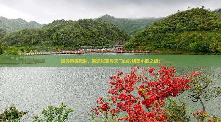 探寻承德风味，邂逅张家界天门山的绝美小吃之旅！