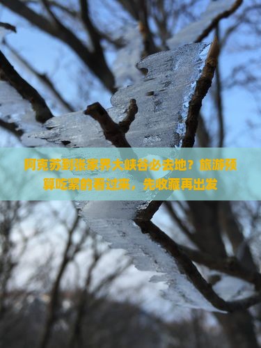 阿克苏到张家界大峡谷必去地？旅游预算吃紧的看过来，先收藏再出发