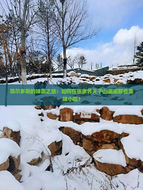 鄂尔多斯的味蕾之旅：如何在张家界天子山邂逅那些美味小吃？