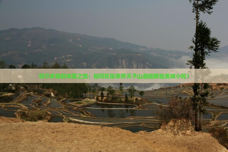 鄂尔多斯的味蕾之旅：如何在张家界天子山邂逅那些美味小吃？