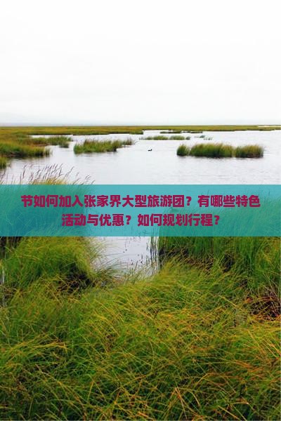节如何加入张家界大型旅游团？有哪些特色活动与优惠？如何规划行程？