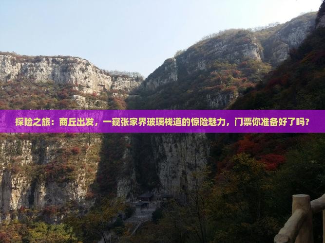 探险之旅：商丘出发，一窥张家界玻璃栈道的惊险魅力，门票你准备好了吗？