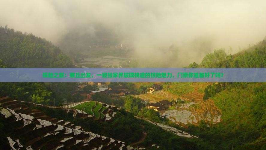 探险之旅：商丘出发，一窥张家界玻璃栈道的惊险魅力，门票你准备好了吗？