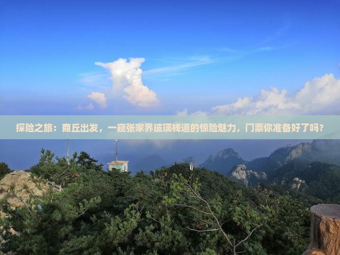 探险之旅：商丘出发，一窥张家界玻璃栈道的惊险魅力，门票你准备好了吗？