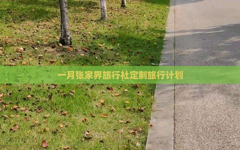 一月张家界旅行社定制旅行计划