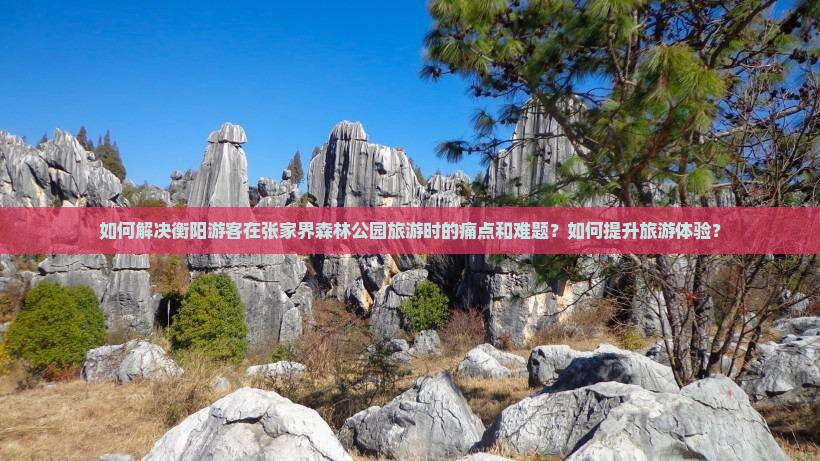 如何解决衡阳游客在张家界森林公园旅游时的痛点和难题？如何提升旅游体验？