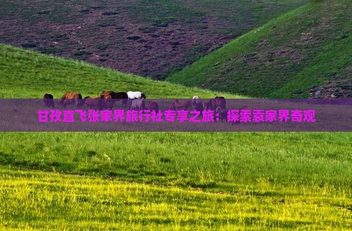 甘孜直飞张家界旅行社专享之旅：探索袁家界奇观