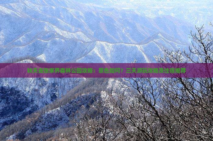 秋天去张家界森林公园攻略