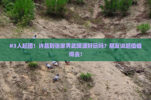 许昌到张家界武陵源团体旅游