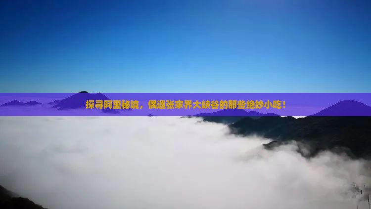 阿里到张家界大峡谷旅游小吃