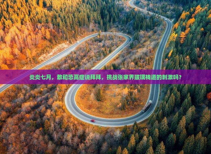 七月去张家界玻璃栈道旅游
