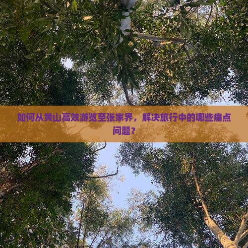 黄山去张家界旅游