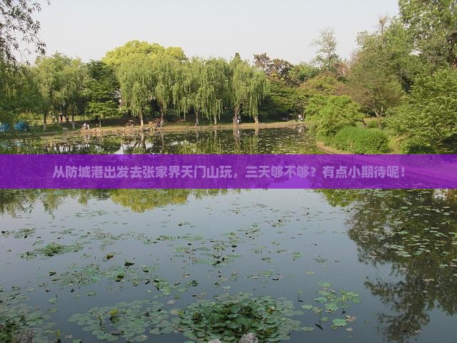 防城港到张家界天门山三日游